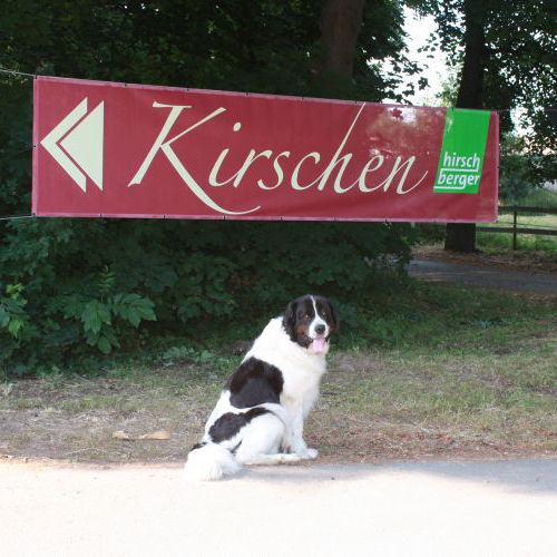 Schild zum Hofverkauf